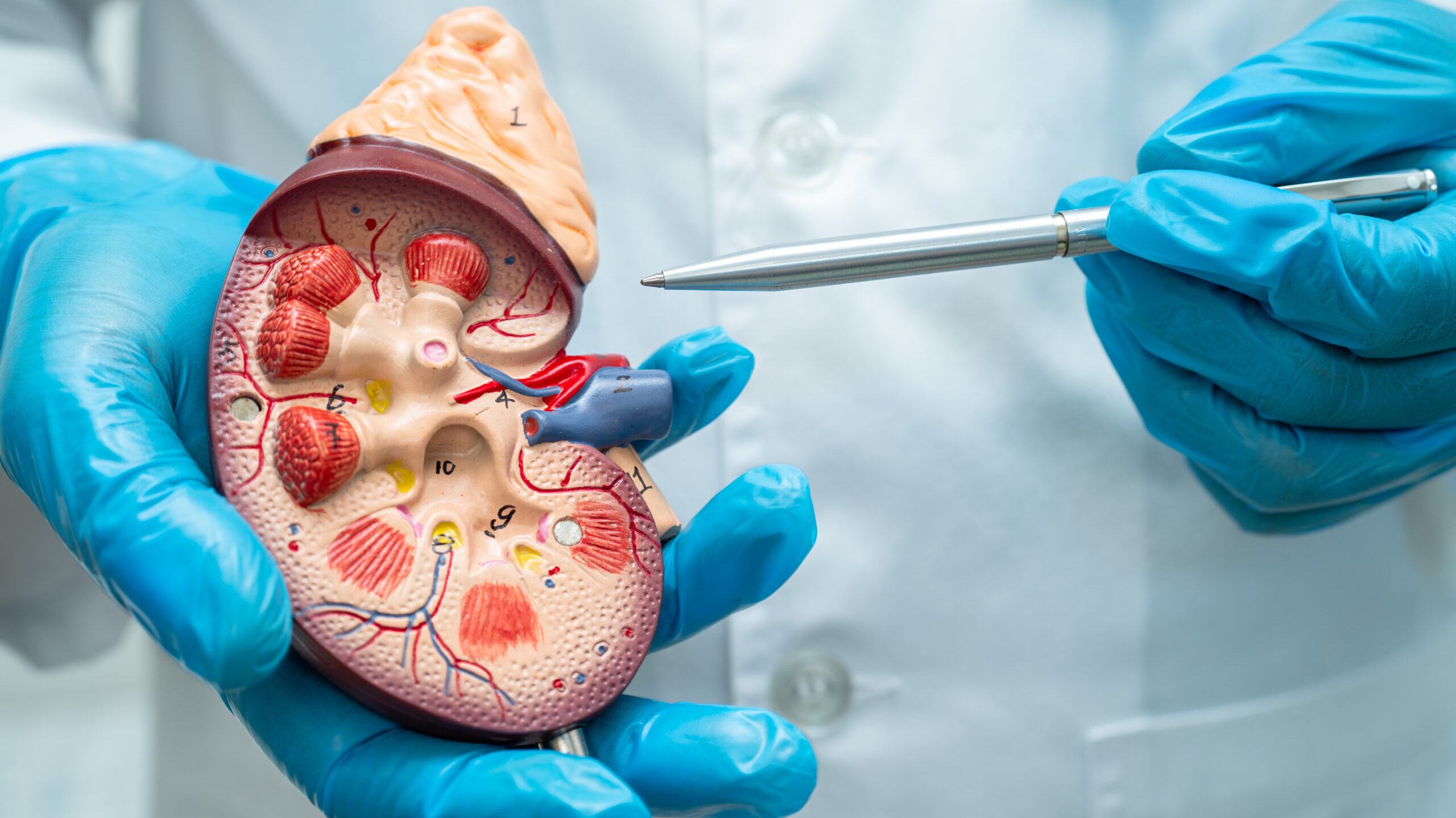 Urology